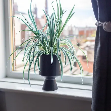 Logan House, Modern And Spacious Townhouse Close To Centre Apartament